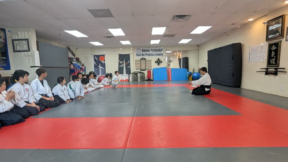 Aikido Aishinkai Dojo gallery image 14